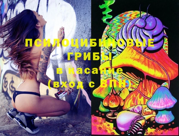 прущая мука Переславль-Залесский
