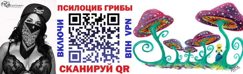 Галлюциногенные грибы MAGIC MUSHROOMS  мега ССЫЛКА  Шуя 